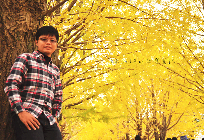 日本銀杏昭和公園18.jpg 日本銀杏昭和公園18.jpg