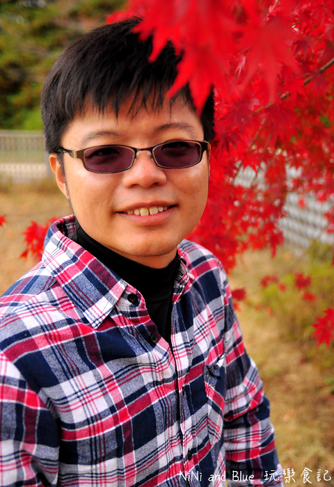 日本銀杏昭和公園23.jpg 日本銀杏昭和公園23.jpg