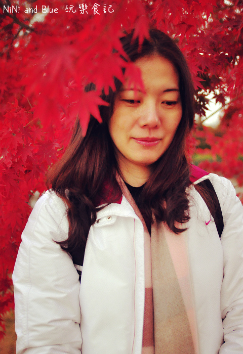 日本銀杏昭和公園24.jpg 日本銀杏昭和公園24.jpg