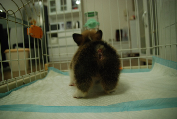 DSC_2817.JPG DSC_2817.JPG