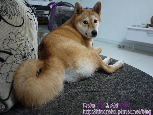 nEO_IMG_P1070595 nEO_IMG_P1070595