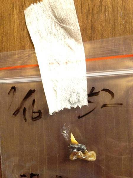 552570_4171963547194_1682525008_n