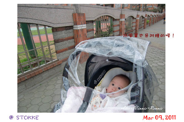 stokke-04.jpg