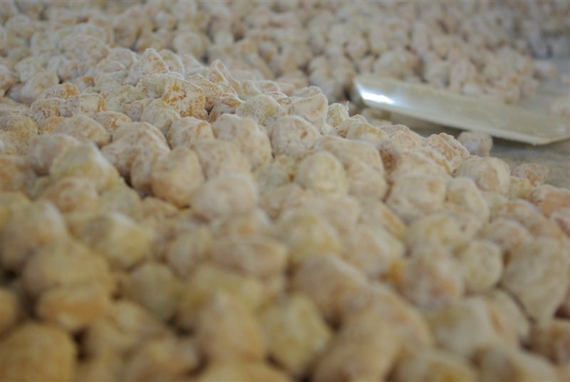 _IGP7448.JPG _IGP7448.JPG