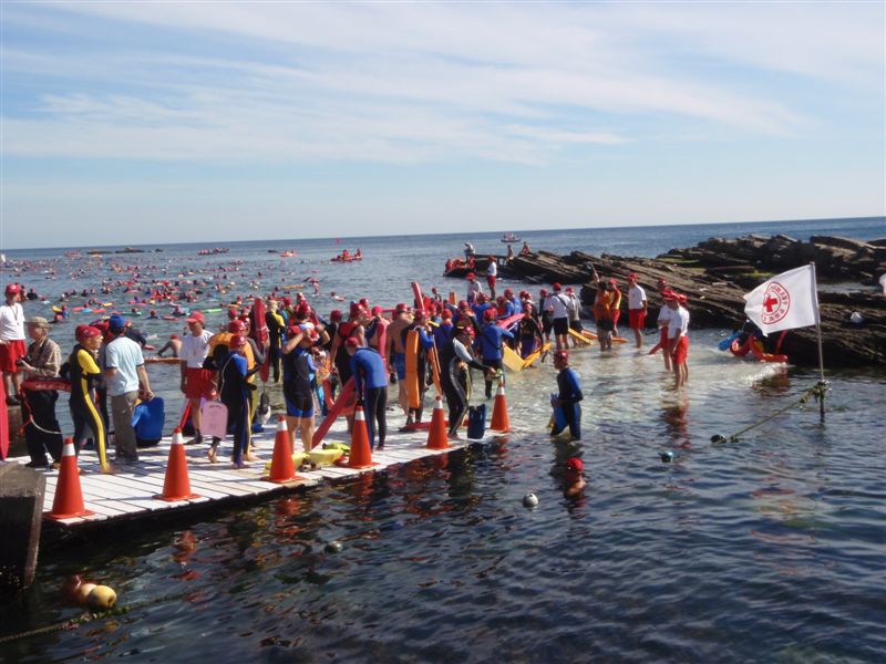 P7041459.JPG P7041459.JPG