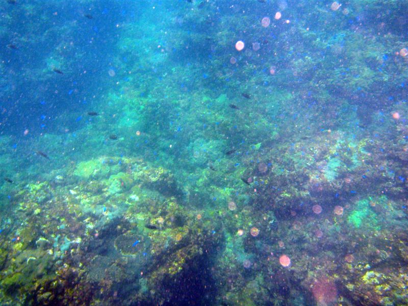 P7041505.JPG P7041505.JPG