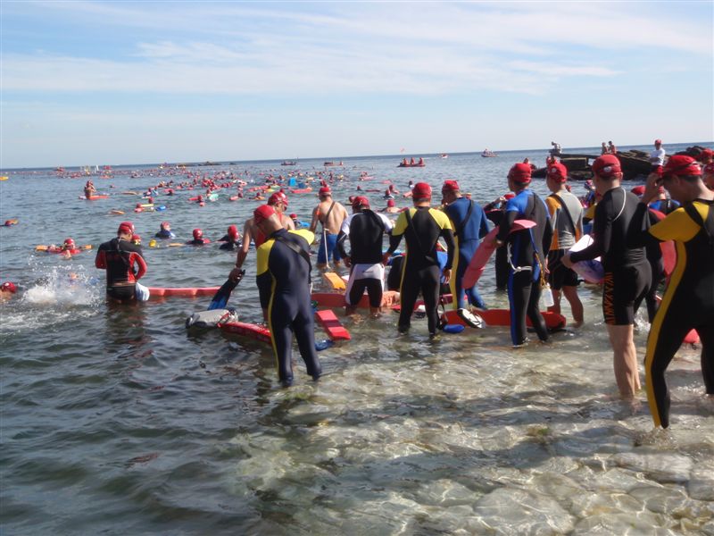 P7041460.JPG P7041460.JPG