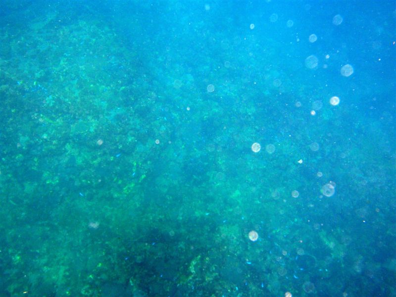 P7041496.JPG P7041496.JPG