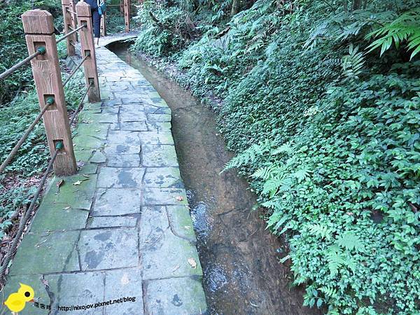 【台北 旅遊】陽明山-隱藏在步道中的花團錦簇 【台北 旅遊】陽明山-隱藏在步道中的花團錦簇