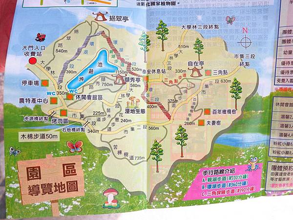 【台南】新化國家植物園-親子森林遊樂區