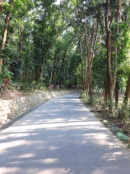 【台南】新化國家植物園-親子森林遊樂區