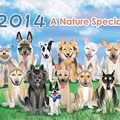 2014狗狗