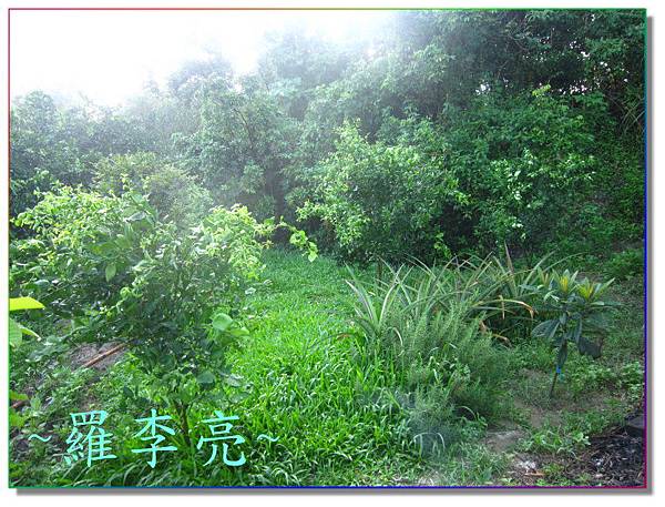 生活點滴 1394.jpg