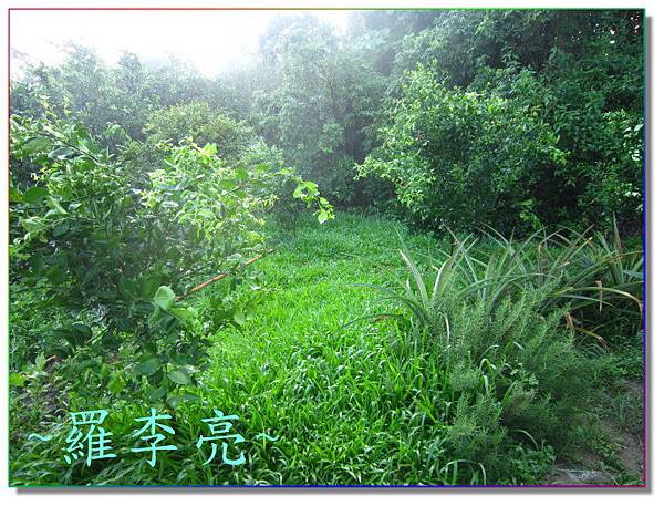 生活點滴 1395.jpg