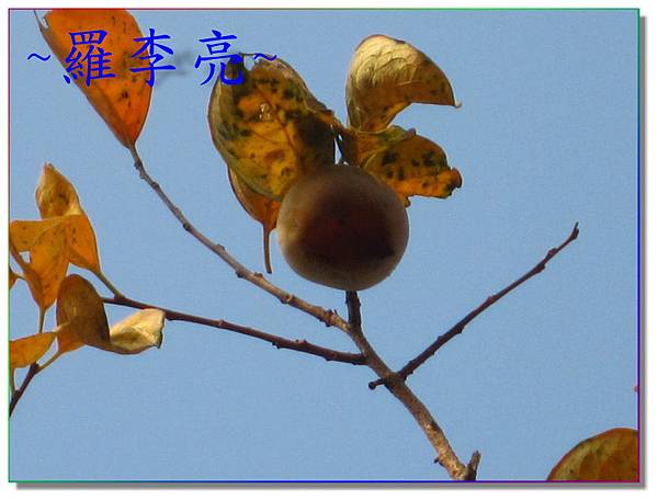 照片 633.jpg 照片 633.jpg