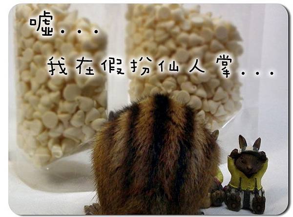 DSCF2035.jpg DSCF2035.jpg