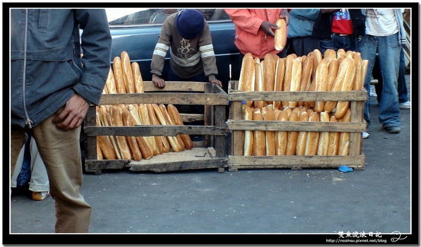 DSC05466.JPG DSC05466.JPG