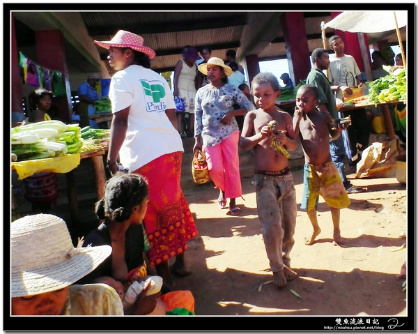 DSCF5782-c.jpg DSCF5782-c.jpg