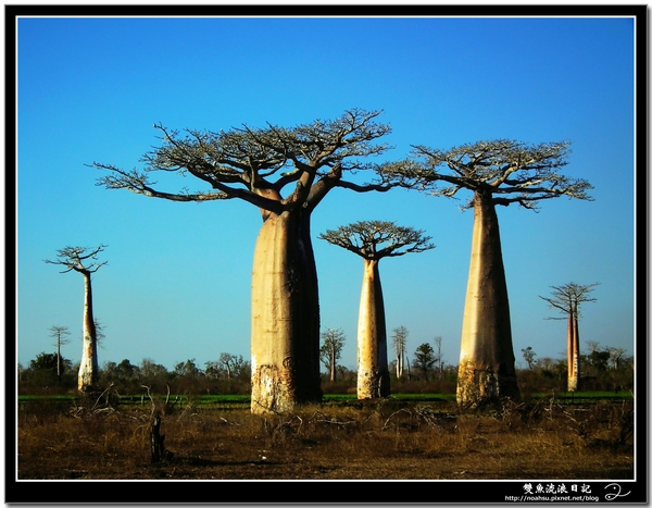 DSCF6056.JPG DSCF6056.JPG