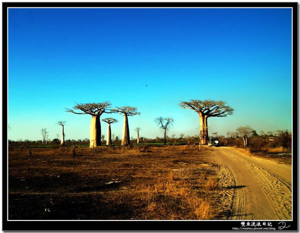 DSCF6055.JPG DSCF6055.JPG