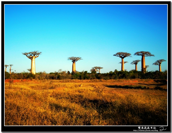 DSCF6068.JPG DSCF6068.JPG