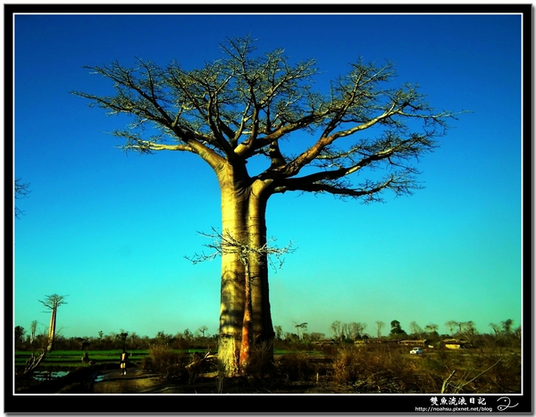 DSCF6065.JPG DSCF6065.JPG