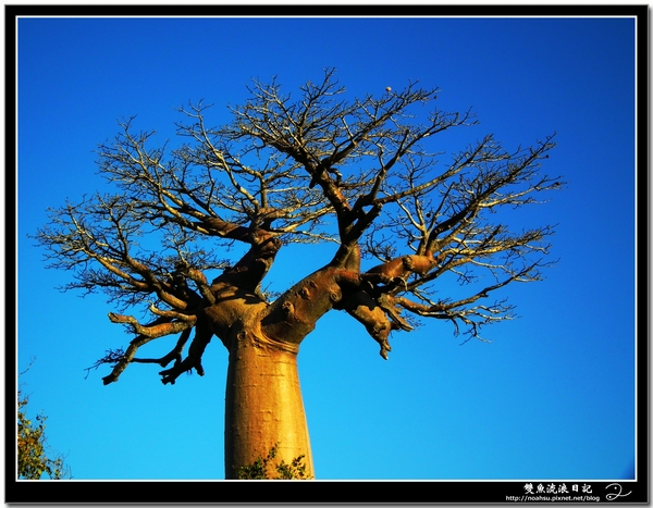 DSCF6073.JPG DSCF6073.JPG