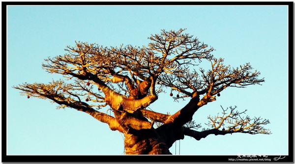 DSC06637.JPG DSC06637.JPG