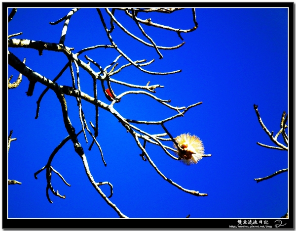 DSCF5959.JPG DSCF5959.JPG