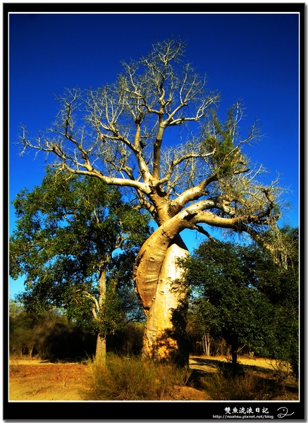 DSCF6031.JPG DSCF6031.JPG