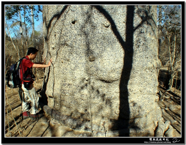 DSC06559.JPG DSC06559.JPG