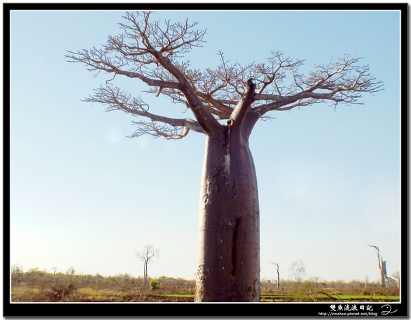 DSC06594.JPG DSC06594.JPG