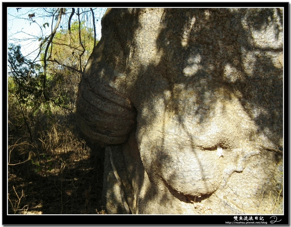 DSCF5994.JPG DSCF5994.JPG