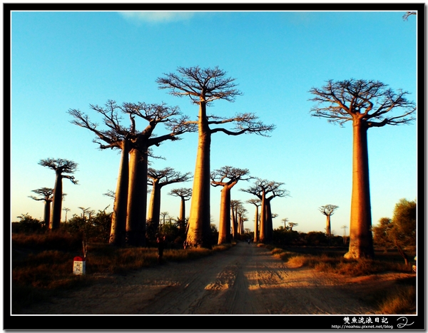 DSC06649.JPG DSC06649.JPG