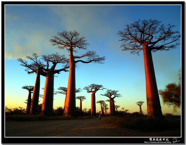 DSCF6151.JPG DSCF6151.JPG