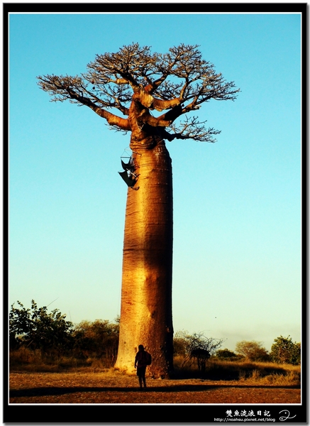 DSC06631.JPG DSC06631.JPG