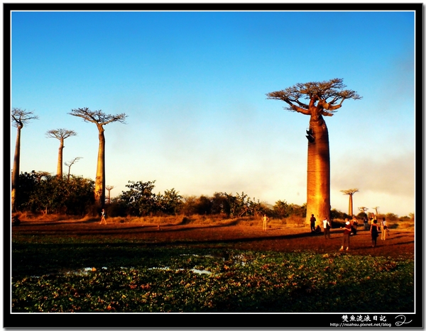 DSC06647.JPG DSC06647.JPG