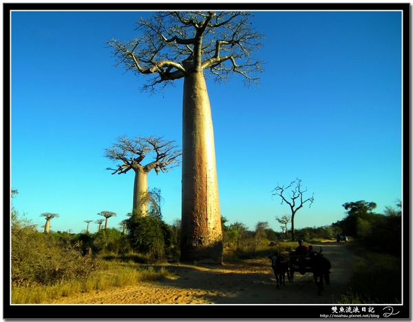 DSCF6071.JPG DSCF6071.JPG