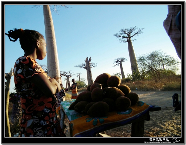 DSCF6095.JPG DSCF6095.JPG