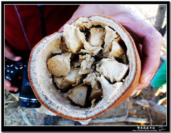 DSC06618.JPG DSC06618.JPG