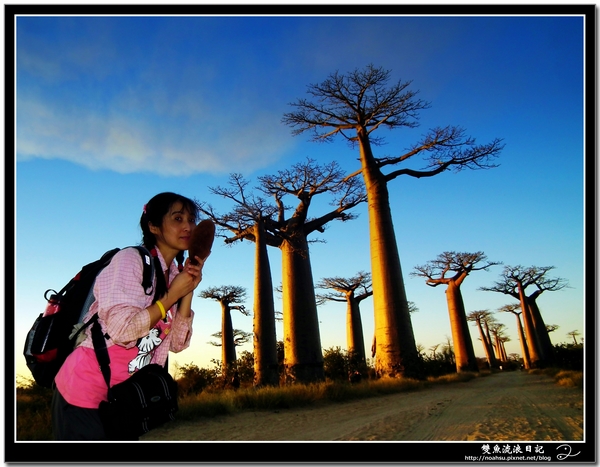 DSCF6144-1.jpg DSCF6144-1.jpg