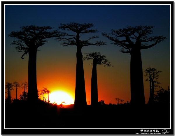 DSCF6190-1.jpg DSCF6190-1.jpg