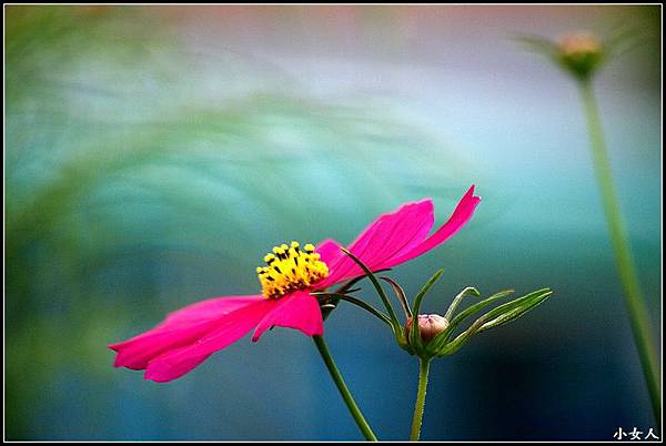 P5070450 P5070450