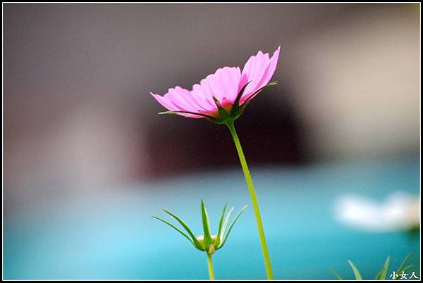 P5070476 P5070476
