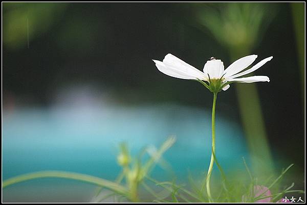 P5070491 P5070491