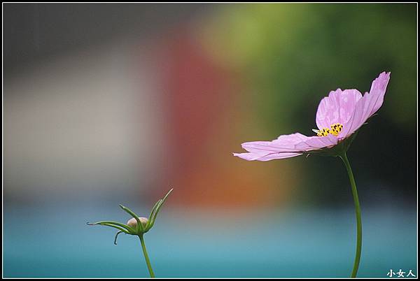 P5070496 P5070496