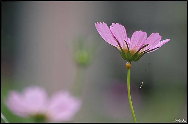 P5070506 P5070506