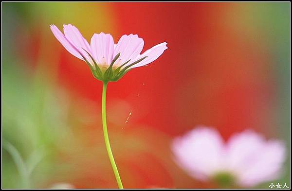 P5070509 P5070509