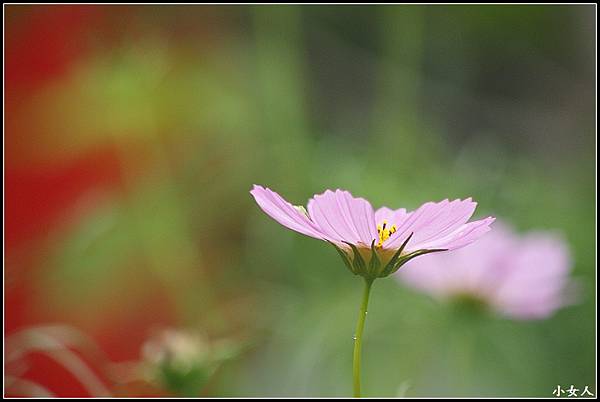 P5070510 P5070510