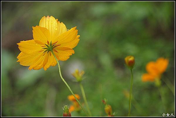 P5070568 P5070568